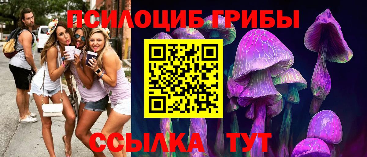 Псилоцибиновые грибы мухоморы Новый Уренгой